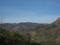 nte Mojo-30122011 069